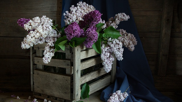 Don’t hate what you don’t understand&nbsp;!!