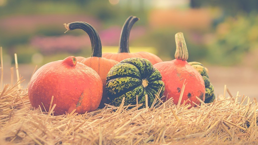 Pai Labu, Delicious! – Yui Ayumi & Miyuki&nbsp;Kobayashi