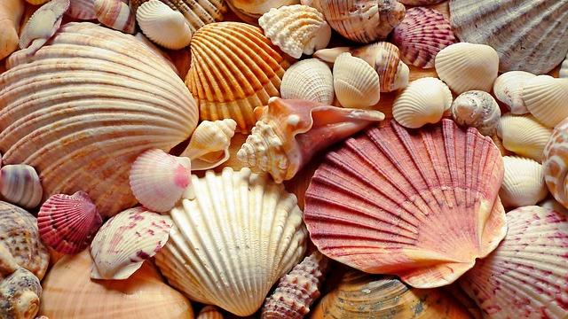 (1/2) Ocean or Beach Vibes Movies : Holidays – Travels !!&nbsp;<3