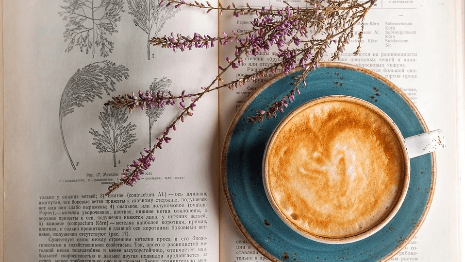 Quotes about Books, Readings &&nbsp;Writings