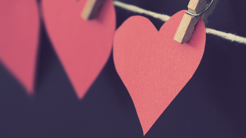 Novel “The Anatomical Shape of Heart”&nbsp;Quotes