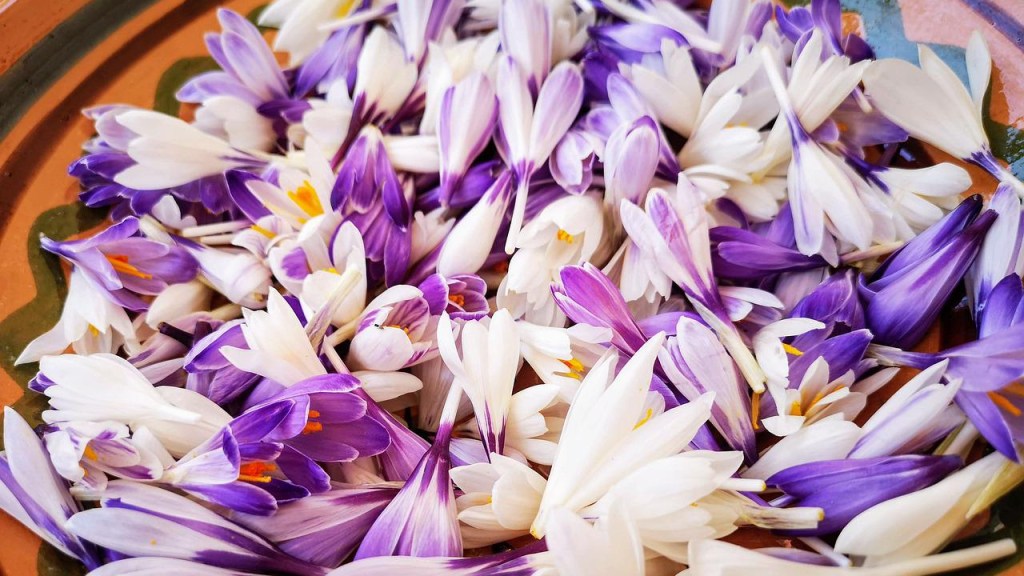 Bunga untuk Salad/Makanan