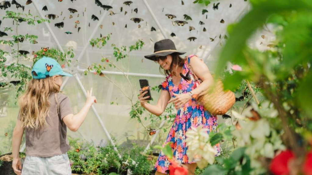 Nuanu Creative City Laksanakan Pelepasliaran Ribuan&nbsp;Kupu-Kupu